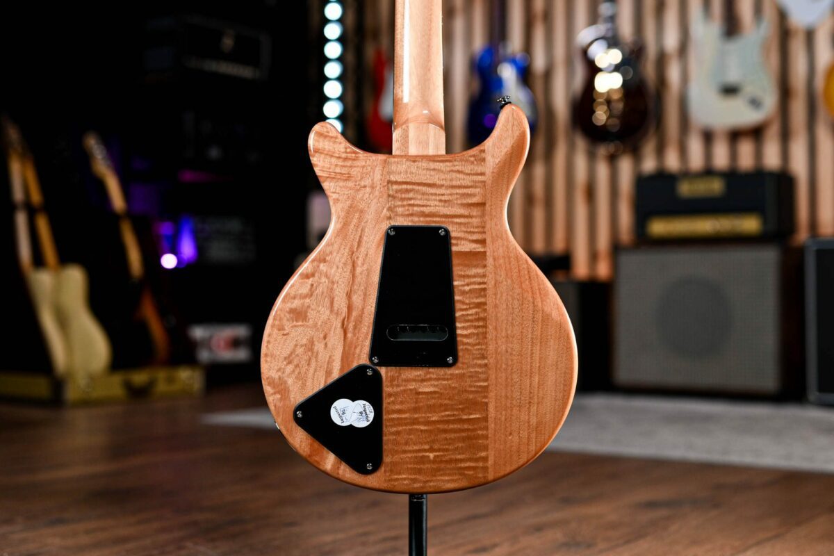 PRS SE Santana Abraxas 50th Anniversary - Image 9