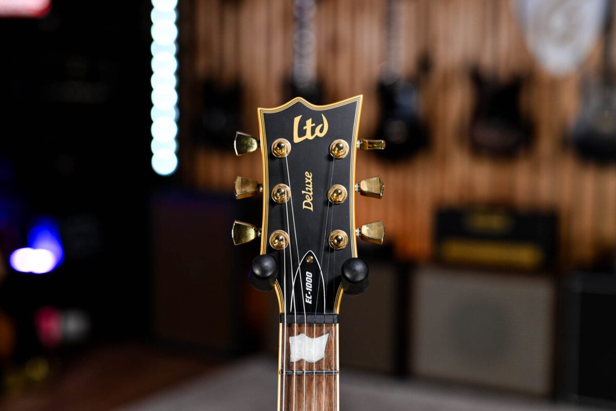 ESP LTD EC-1000 in Vintage Black - Image 6