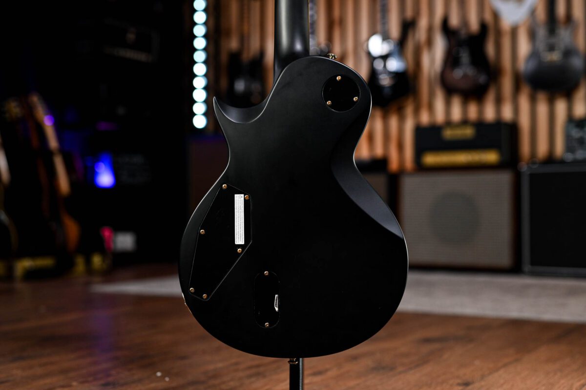 ESP LTD EC-1000 in Vintage Black - Image 8