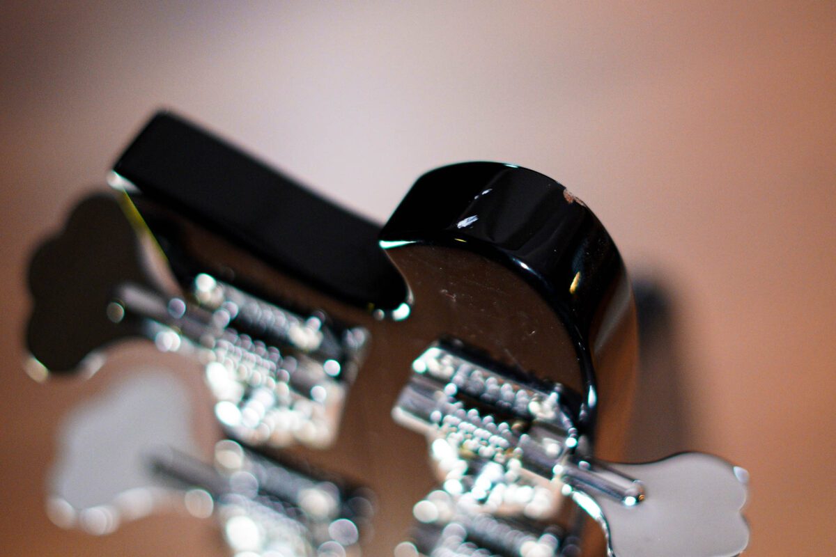 Rickenbacker 4003S in Jetglow - Image 10