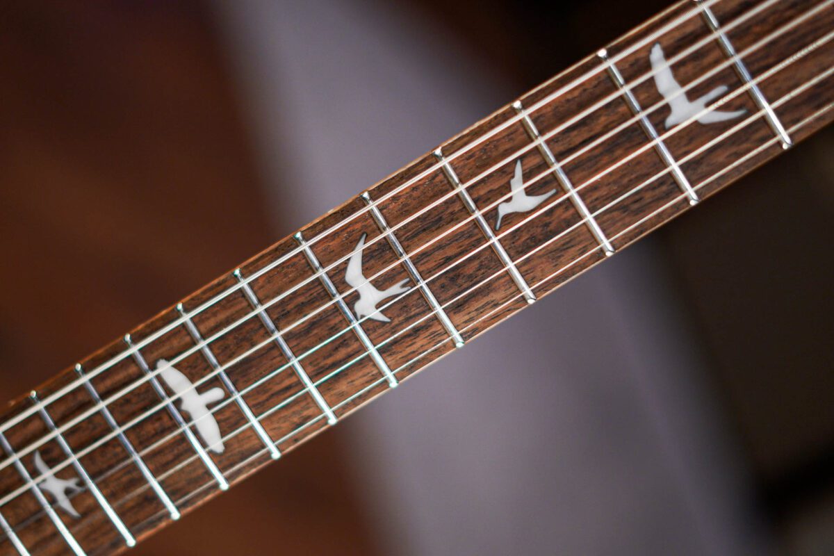 *NEW RELEASE* PRS SE Limited Edition Custom 24 Burled Ash Lake Blue - Image 5