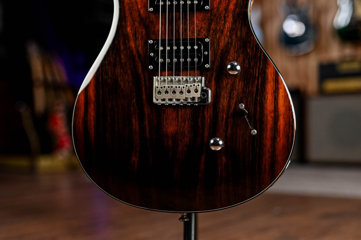PRS SE Custom 24 Exotic Top Ebony - Image 2