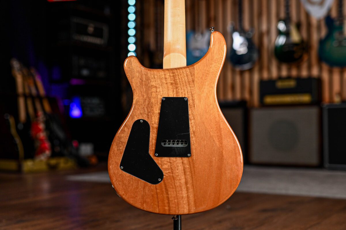 PRS SE Custom 24 Exotic Top Ebony - Image 7