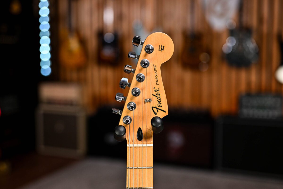 Fender Special Edition David Lozeau Art Stratocaster in Dragon